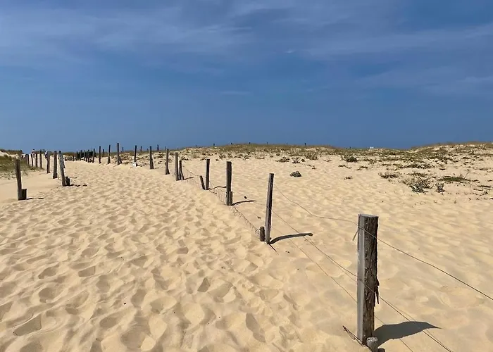 Villa Sur La Dune Moliets, 12 People, Beach, Golf